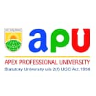 APU